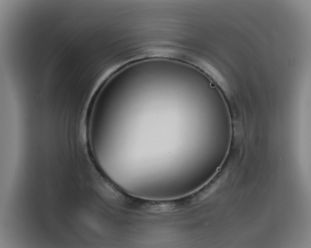 X0000113760891200909301107
