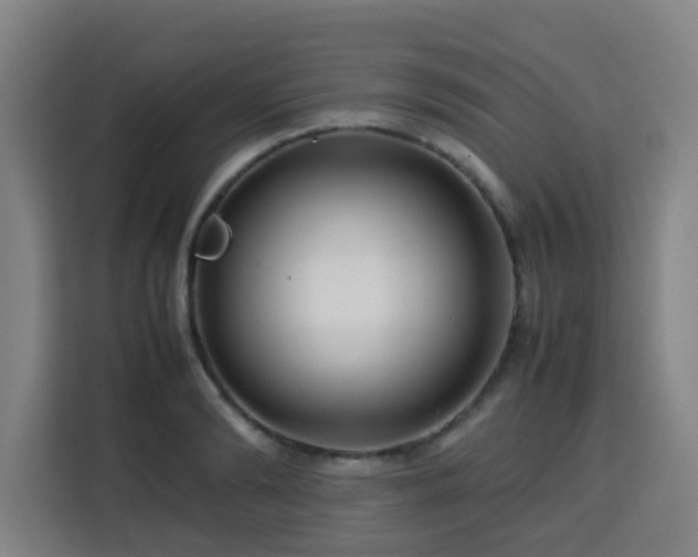 X0000113760894200909301107