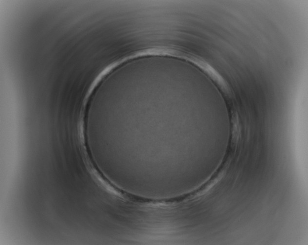 X0000113760896200909301107