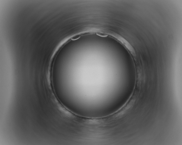 X0000113760904200909301107