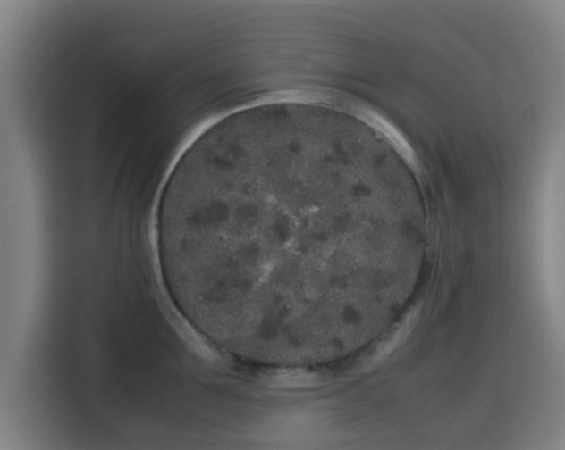 X0000113760907200909301107