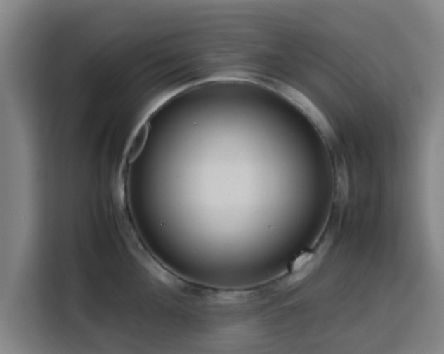 X0000113760908200909301107