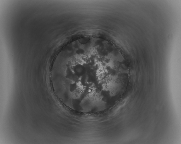 X0000113760913200909301106