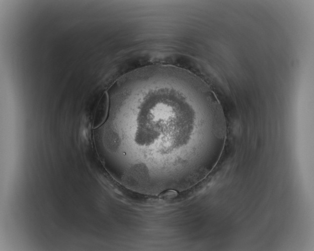 X0000113760914200909301106