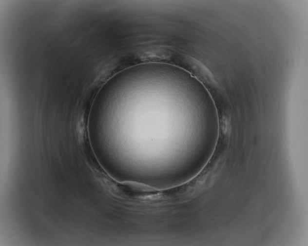 X0000113760915200909301106