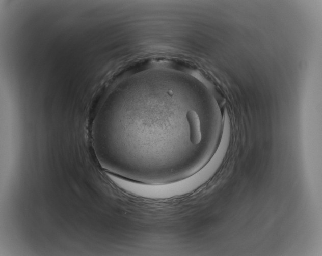 X0000113760916200909301106
