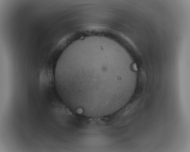 X0000113760918200909301106