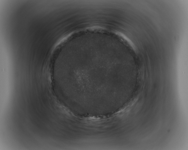 X0000113760919200909301106