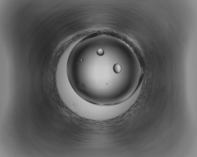 X0000113760920200909301106