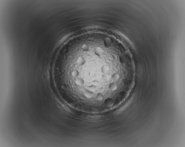 X0000113760921200909301106