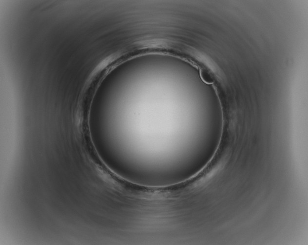 X0000113760922200909301106
