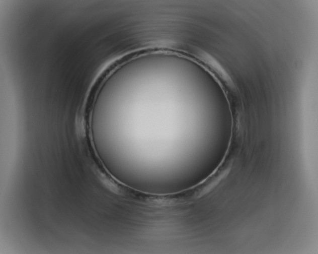 X0000113760924200909301106