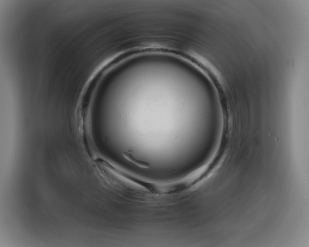 X0000113760925200909301106