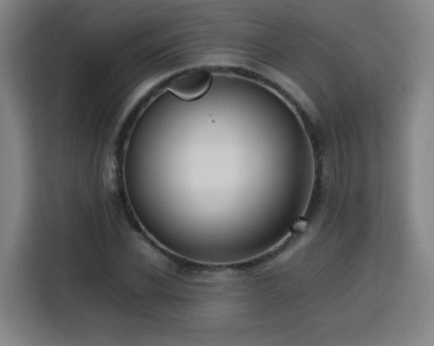 X0000113760926200909301106