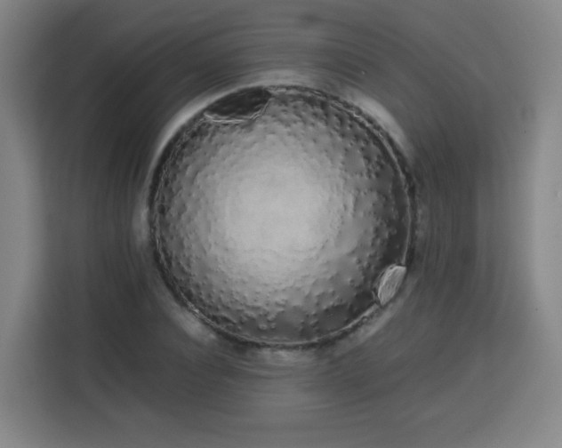 X0000113760928200909301106