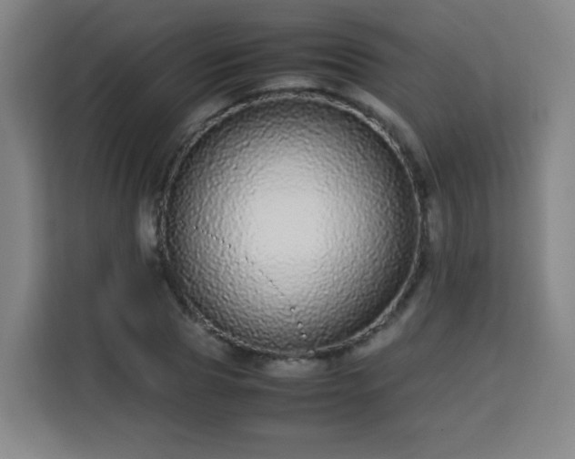 X0000113760929200909301106