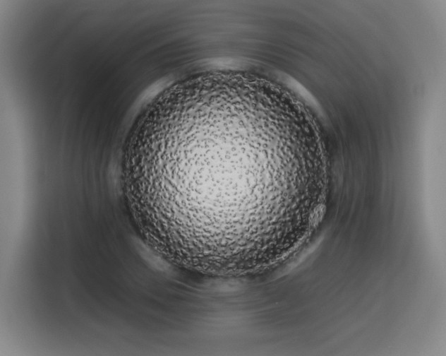 X0000113760930200909301106