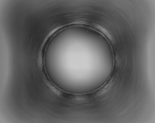 X0000113760931200909301106