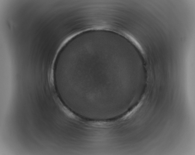 X0000113760932200909301106