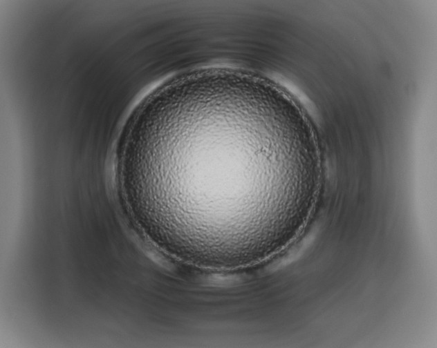 X0000113760933200909301106