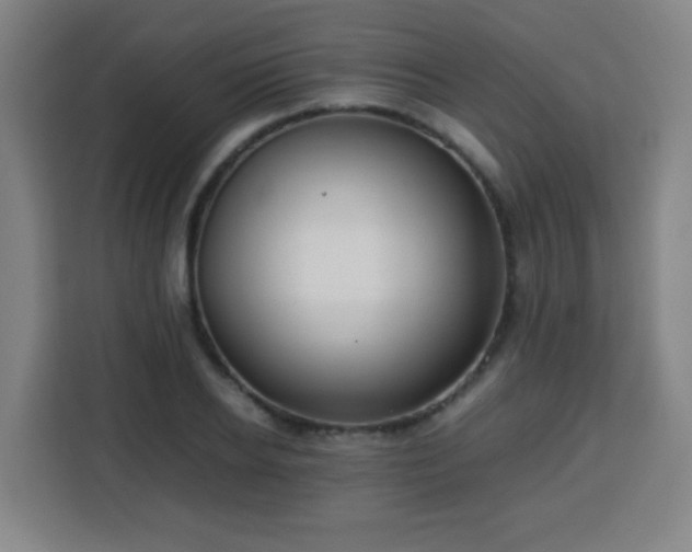 X0000113760934200909301106