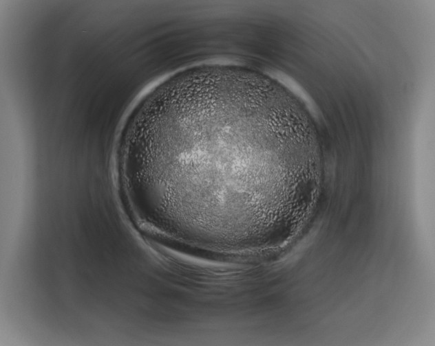 X0000113760935200909301106