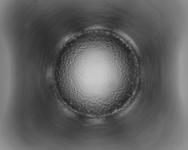 X0000113760937200909301106