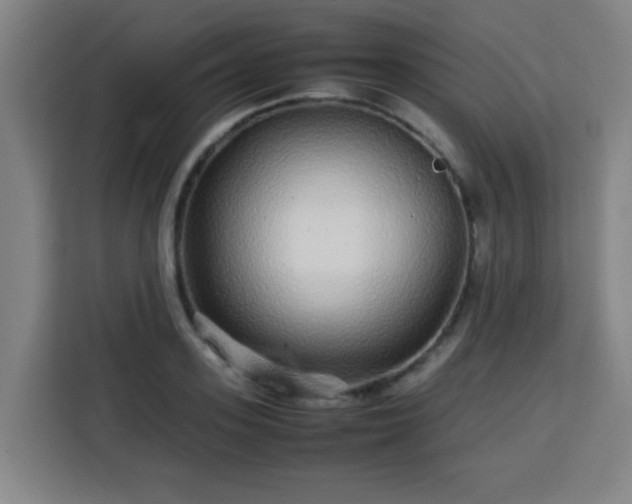 X0000113760939200909301106