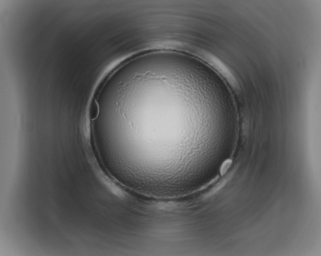 X0000113760940200909301106