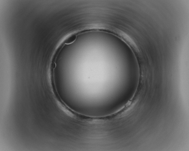 X0000113760942200909301106