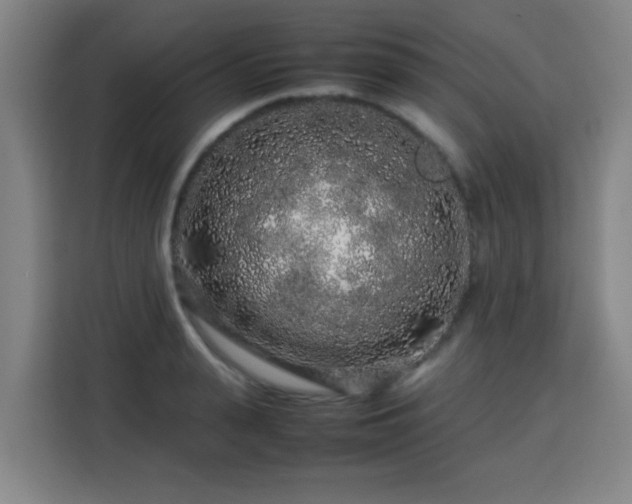 X0000113760943200909301106