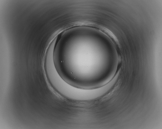X0000113760946200909301106