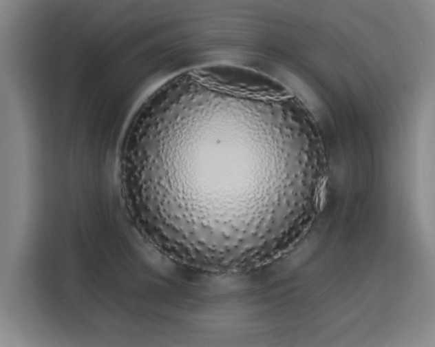 X0000113760948200909301107