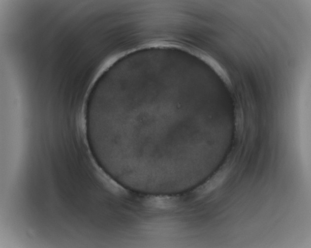 X0000113760950200909301107