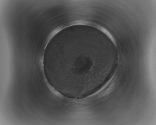 X0000113760954200909301107