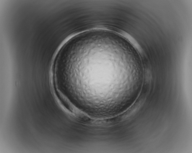 X0000113760955200909301107