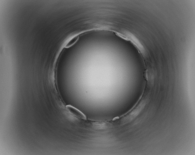 X0000113760956200909301107
