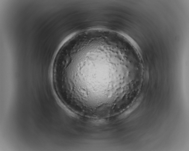X0000113760957200909301107