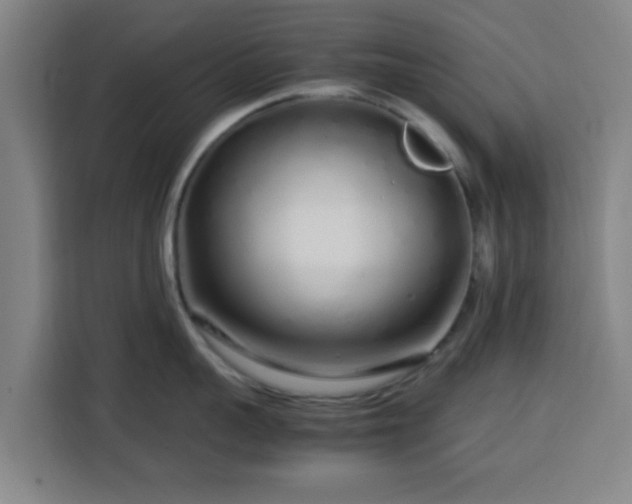 X0000113760959200909301107