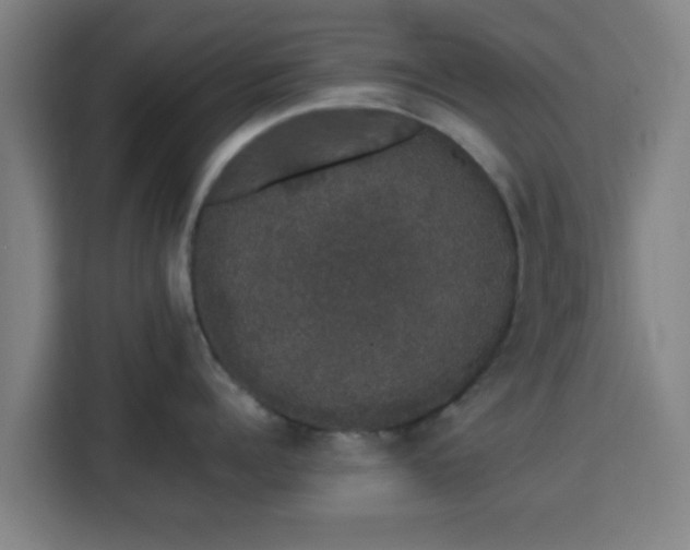 X0000113760960200909301107