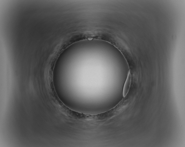 X0000113760961200909301106
