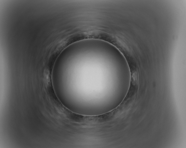 X0000113760963200909301106