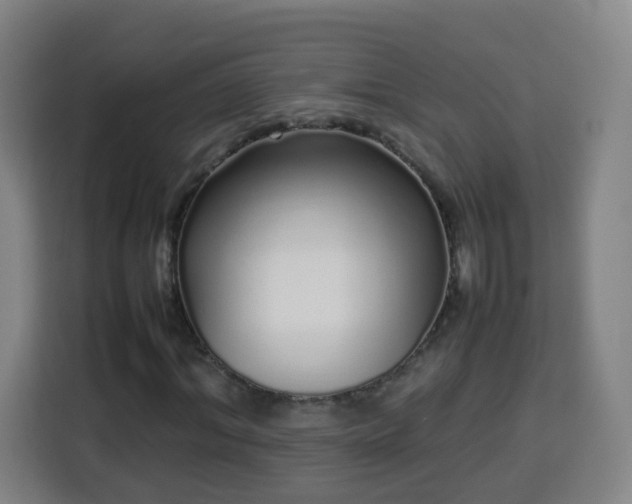 X0000113760964200909301106