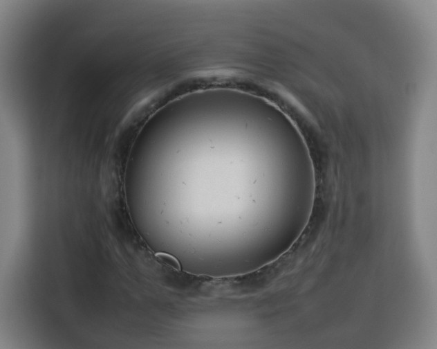 X0000113760967200909301106