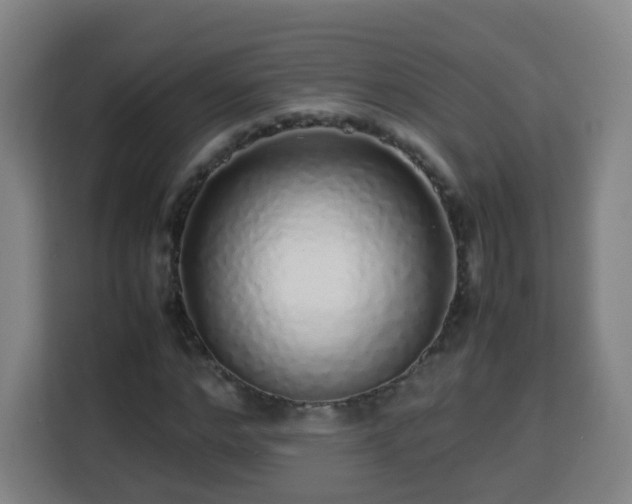 X0000113760968200909301106