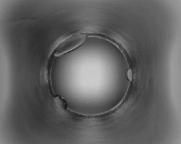 X0000113760973200909301106