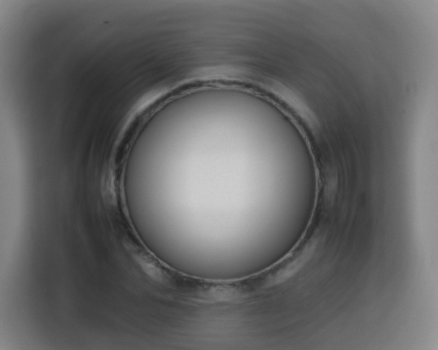 X0000113760974200909301106