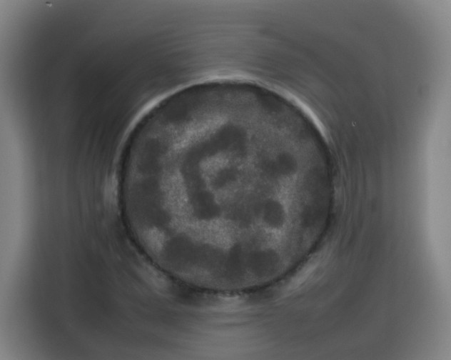 X0000113760975200909301106