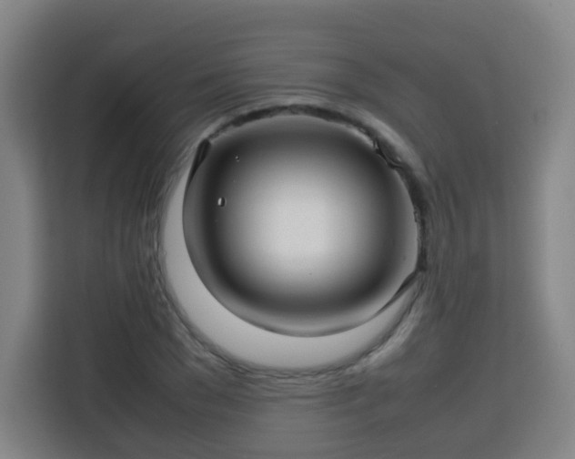 X0000113760977200909301106