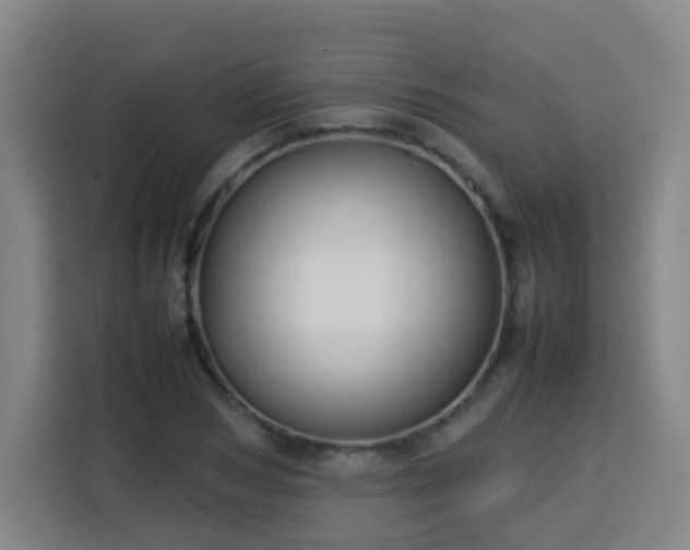 X0000113760978200909301106